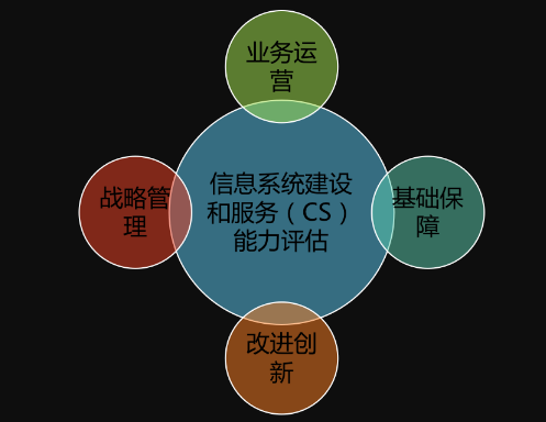 CS信息系統建設和服務能力評估